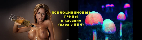 винт Аркадак